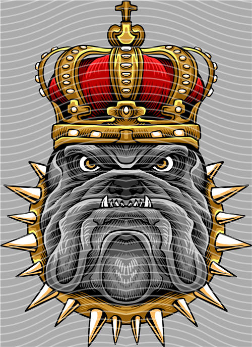 Street design-JT 4533